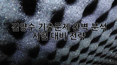 김양수 기출문제 완벽 분석: 시험 대비 전략
